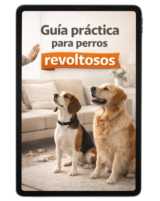 Guía práctica para Perros Revoltosos 🐶 + 4 BONUS 🎁